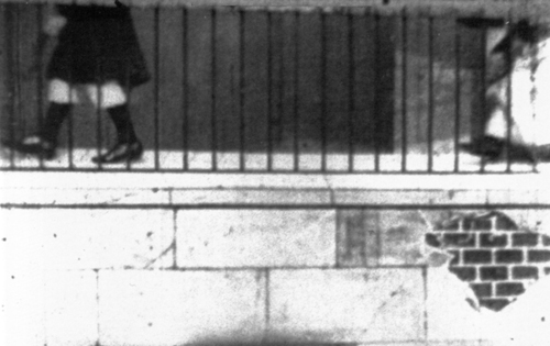 A Photograph Taken from Our Area Window